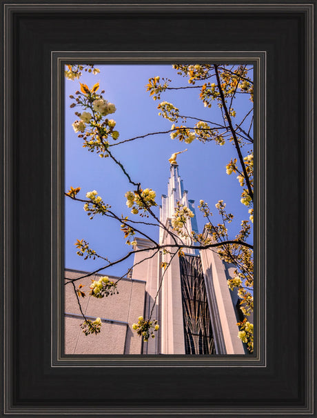 Tokyo Temple - Through the Trees
