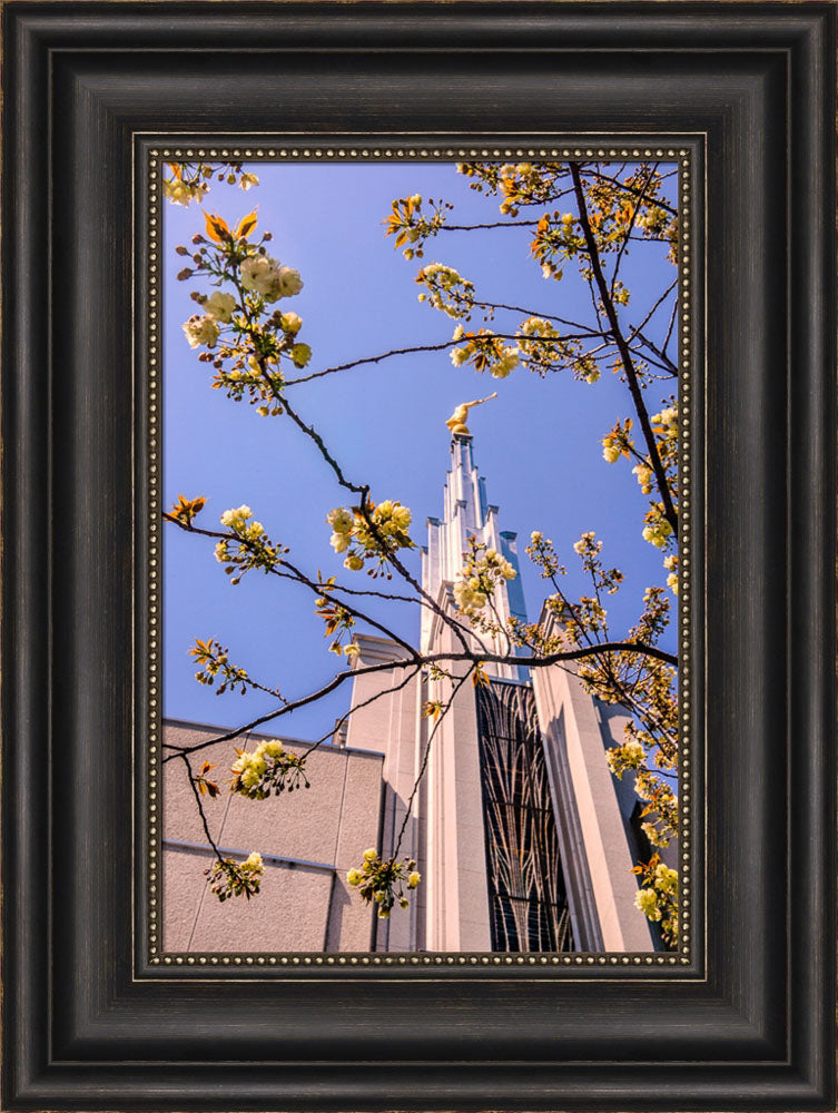 Tokyo Temple - Through the Trees