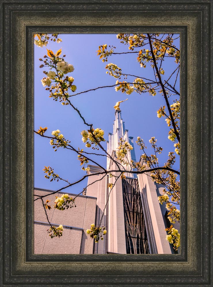 Tokyo Temple - Through the Trees