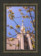 Tokyo Temple - Through the Trees
