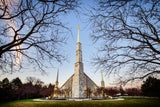 Chicago Temple - Through Trees Horizontal