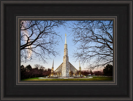 Chicago Temple - Through Trees Horizontal