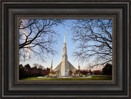 Chicago Temple - Through Trees Horizontal