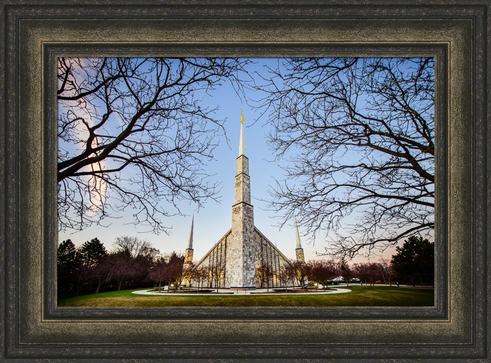 Chicago Temple - Through Trees Horizontal