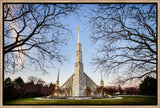 Chicago Temple - Through Trees Horizontal