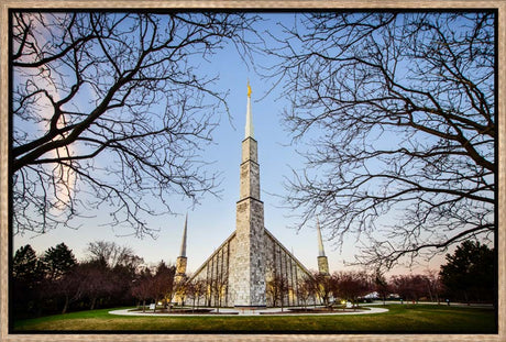 Chicago Temple - Through Trees Horizontal