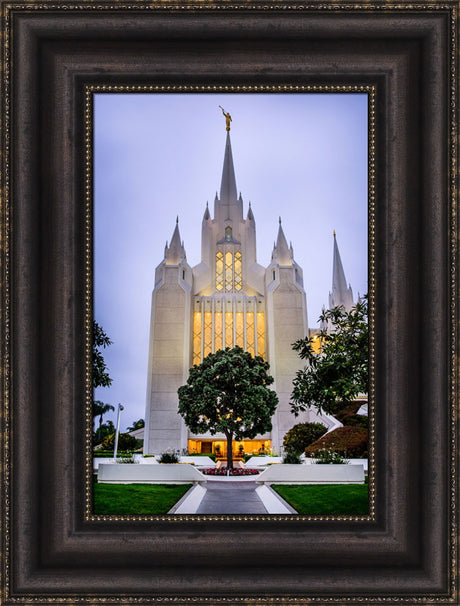 San Diego Temple - Tree