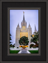 San Diego Temple - Tree
