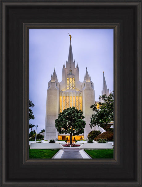 San Diego Temple - Tree