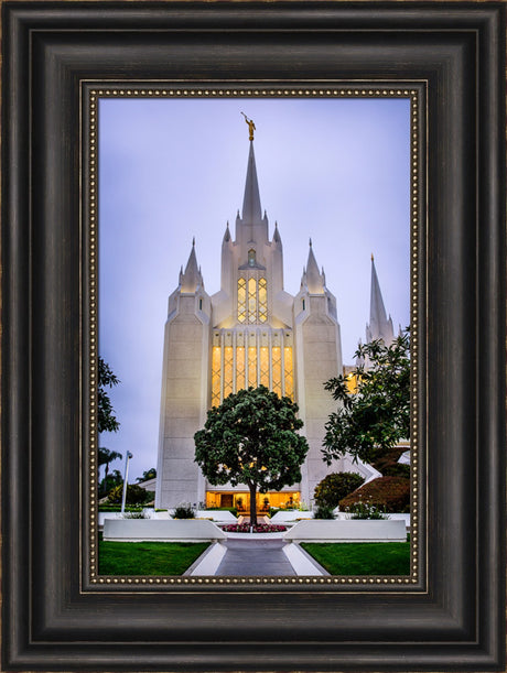 San Diego Temple - Tree