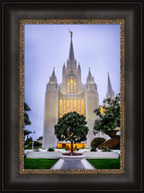 San Diego Temple - Tree