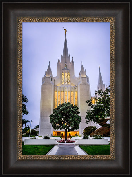 San Diego Temple - Tree