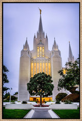 San Diego Temple - Tree
