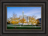 Mt Timpanogos Temple - Fall Trees