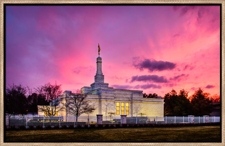 Detroit Temple - Pink Sunset