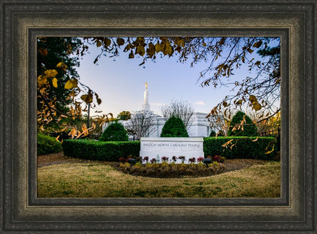 Raleigh Temple - Through the Leaves