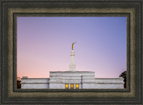 Raleigh Temple - Pink and Purple