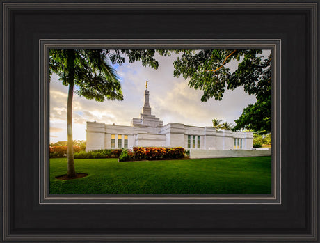Kona Temple - Bushes on the Side