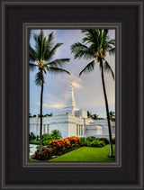Kona Temple - Palm Trees