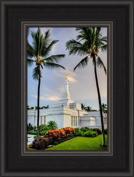 Kona Temple - Palm Trees