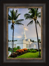 Kona Temple - Palm Trees