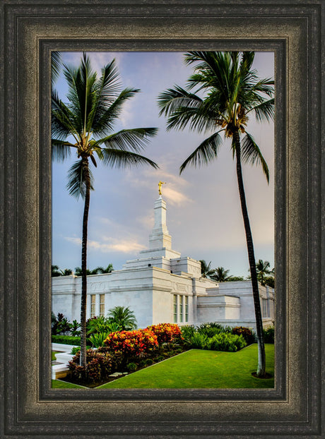 Kona Temple - Palm Trees