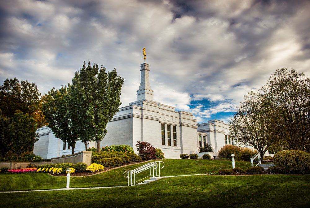Palmyra Temple - Patch of Blue