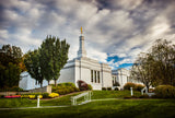 Palmyra Temple - Patch of Blue