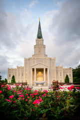 Houston Temple - Temple -Flowers