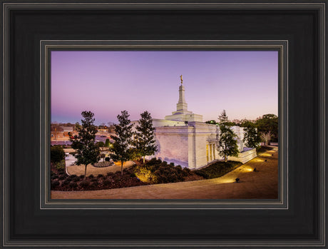 Birmingham Temple - Back Hill View