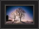 Nauvoo Temple - After an Ice Storm