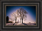 Nauvoo Temple - After an Ice Storm