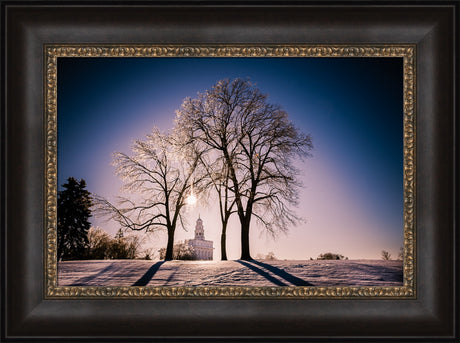 Nauvoo Temple - After an Ice Storm