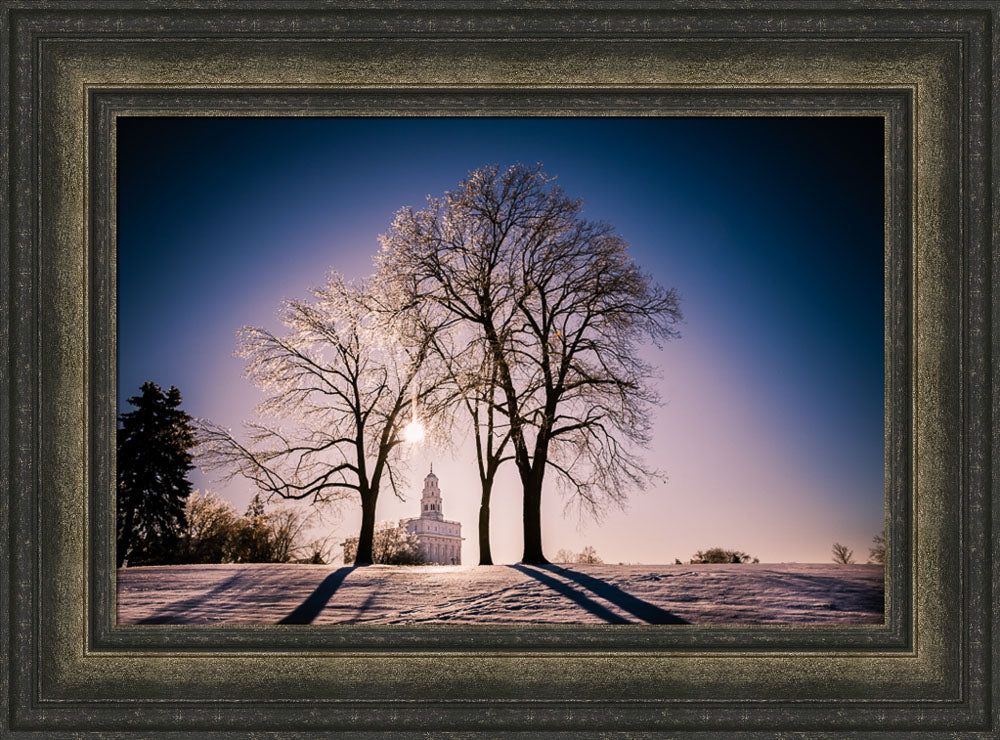Nauvoo Temple - After an Ice Storm