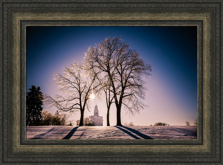 Nauvoo Temple - After an Ice Storm