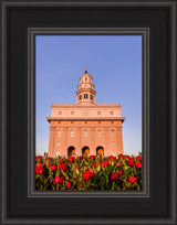 Nauvoo Temple - Tulips