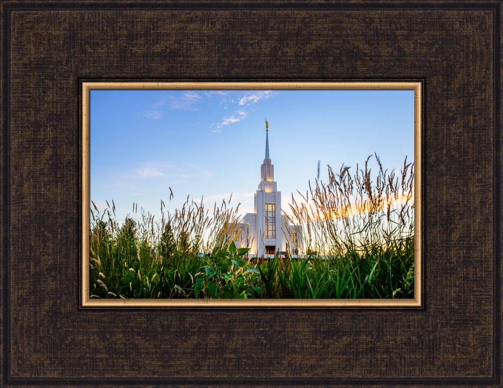 Twin Falls Temple - Harvest