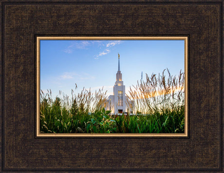 Twin Falls Temple - Harvest