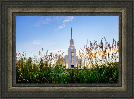 Twin Falls Temple - Harvest