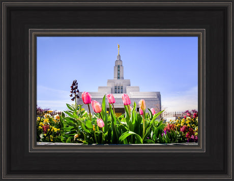 Draper Temple - Tulips