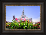 Draper Temple - Tulips