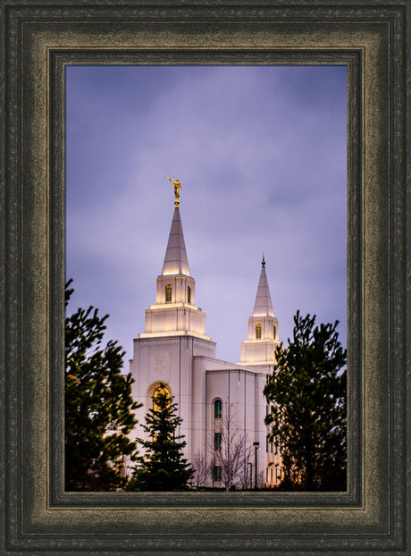 Kansas City Temple - Through the Trees