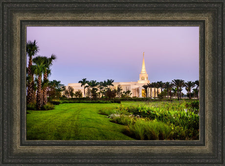 Fort Lauderdale Temple - Palm Trees