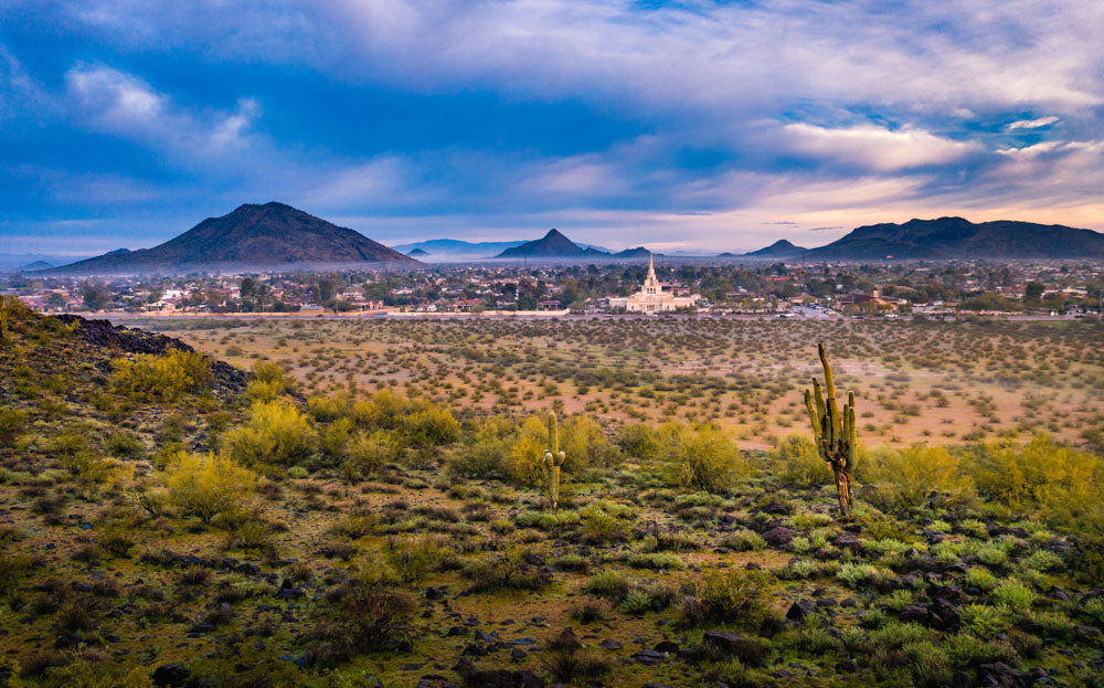 Phoenix Temple - Desert View