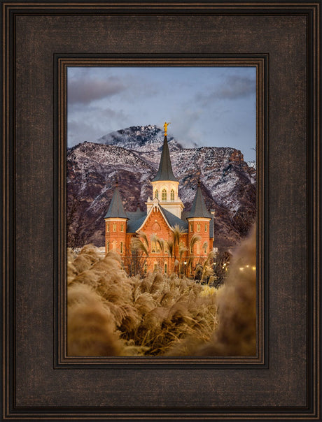Provo City Center Temple - Fall Reeds