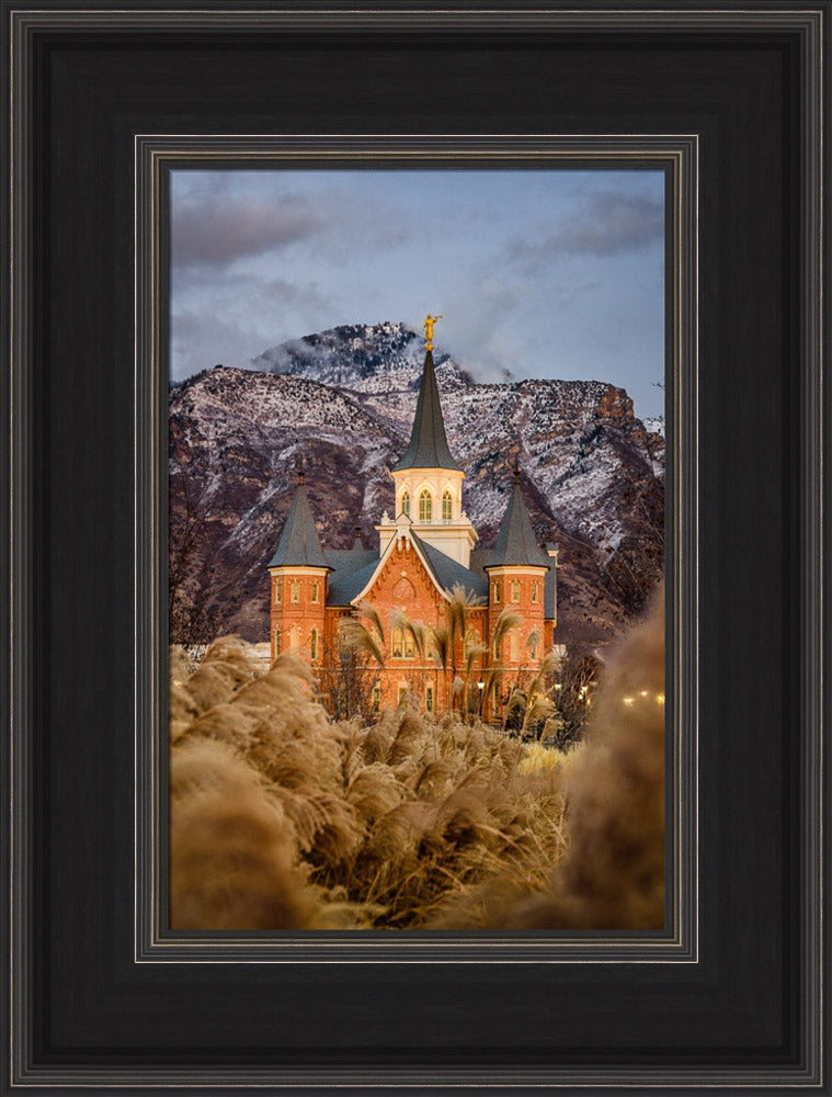 Provo City Center Temple - Fall Reeds