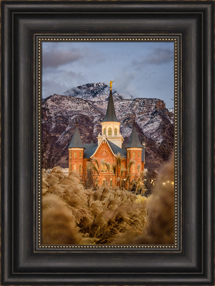 Provo City Center Temple - Fall Reeds