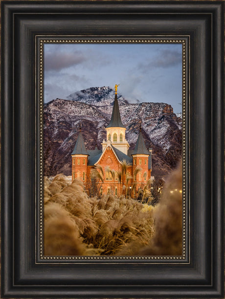 Provo City Center Temple - Fall Reeds