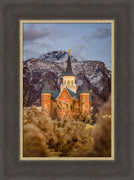 Provo City Center Temple - Fall Reeds