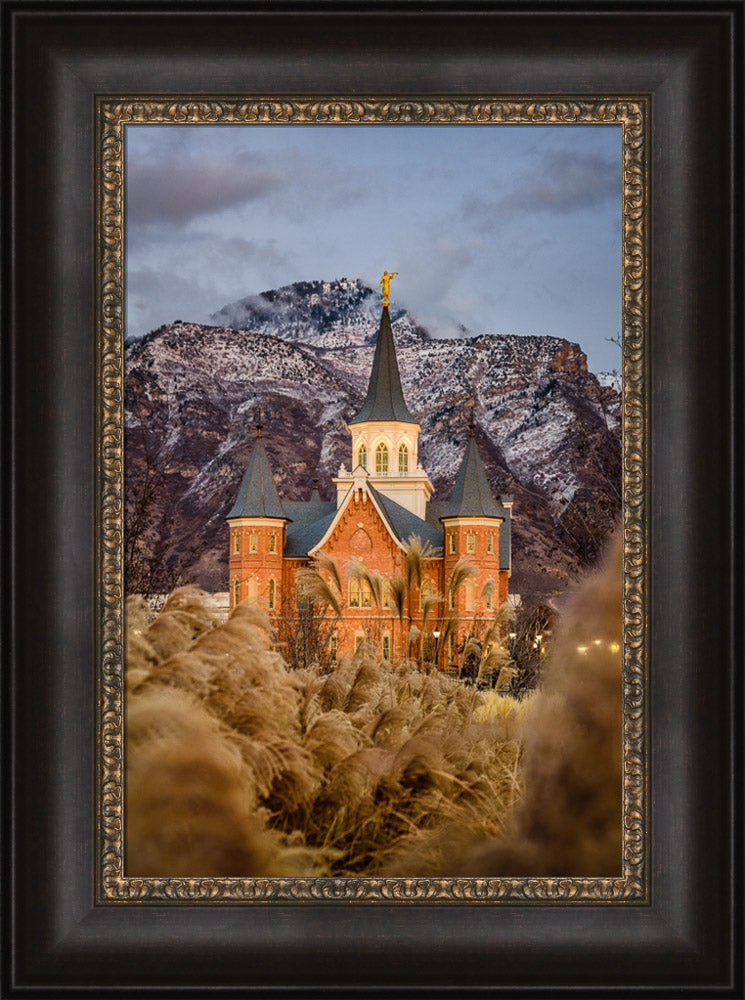 Provo City Center Temple - Fall Reeds